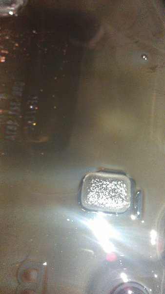 IMAG0071.jpg