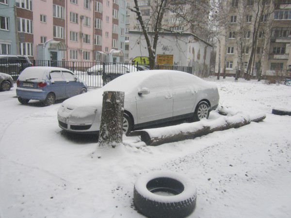 IMG_5865.JPG