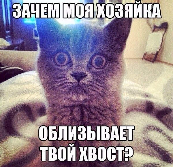 image (5).jpg