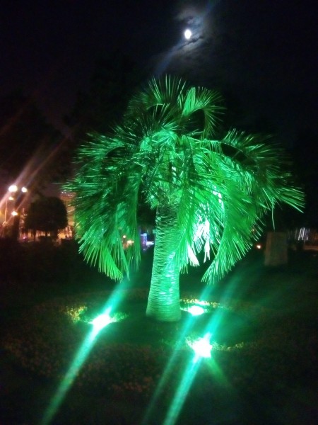IMG_20170607_212506.jpg