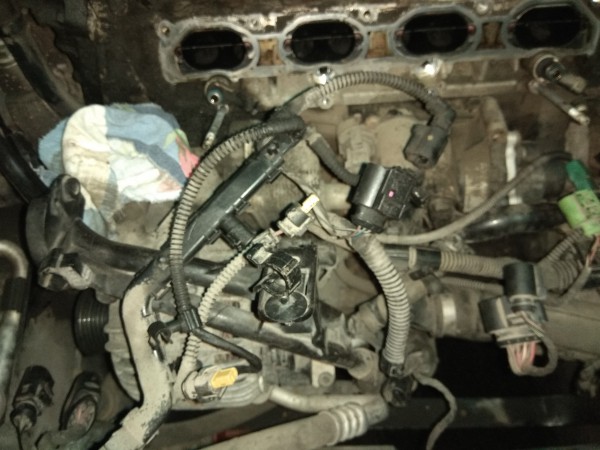 IMG_20170824_184742[1].jpg