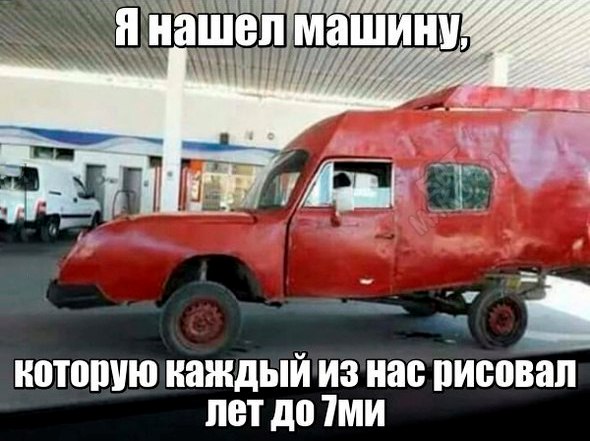 10239944.jpg