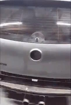 VK_COM_BAK.gif
