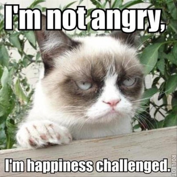 020115-cat-funny-2.jpg