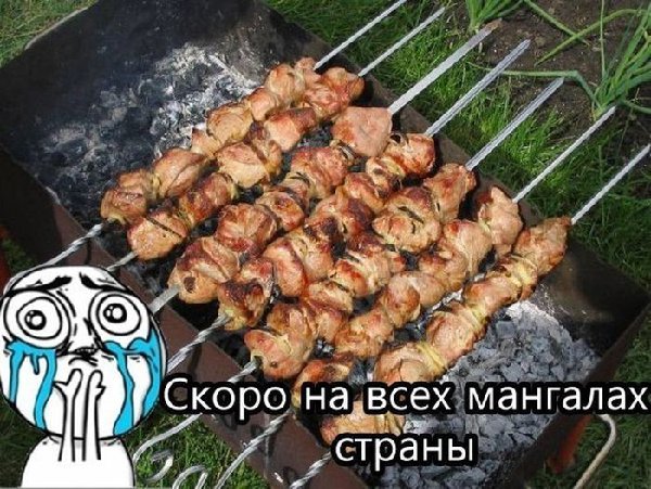 шлыки.jpg