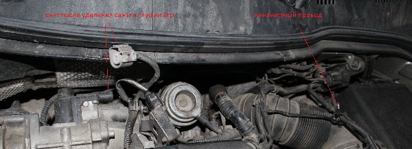 IMG_5830.JPG (2.45 Мб) Просмотров: 999 IMG_5830.JPG