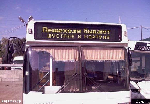 nadpisi-zabavnye-krasivye-fotografii-neobychnye-fotografii_154620781.jpg