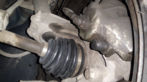 20190412_194236.jpg