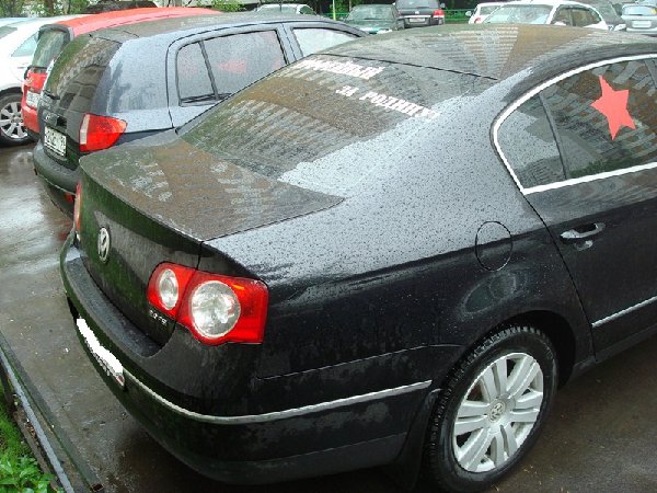 DSC08825.jpg