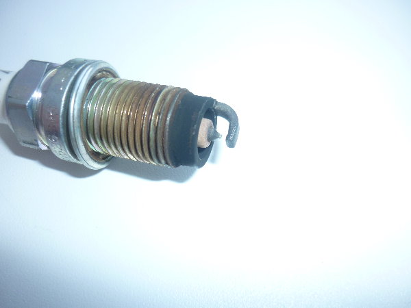 P1020514.JPG