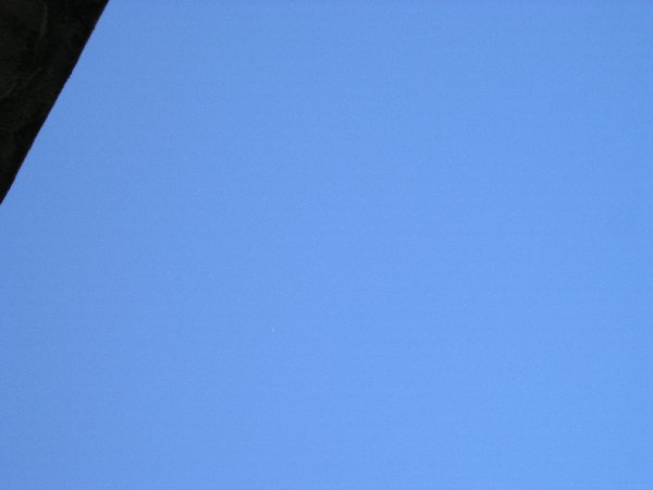P6110001.JPG