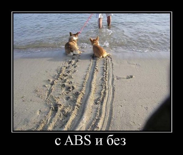 ABS.jpg