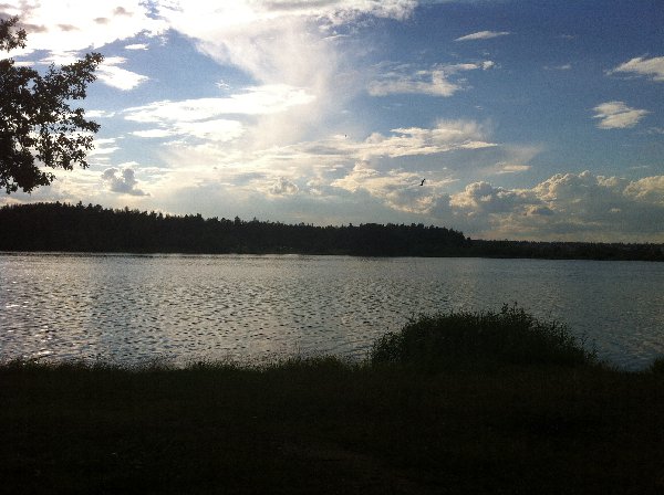 IMG_0366.JPG