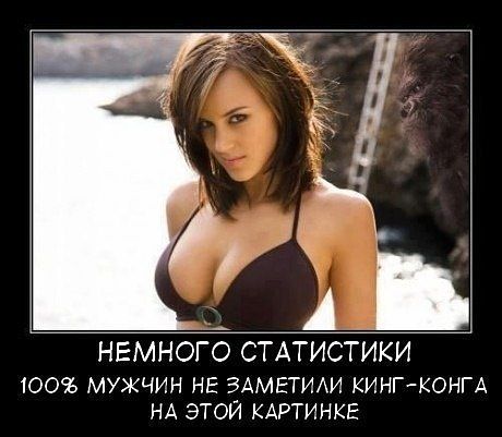 getImage6.jpeg