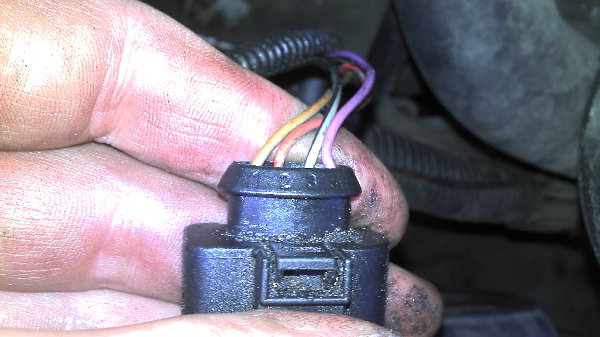2012-05-13_16-02-38_77.jpg