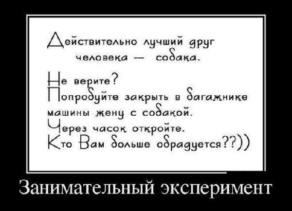 7519619ro7.jpg