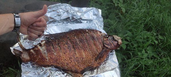 IMG_20240823_190330.jpg
