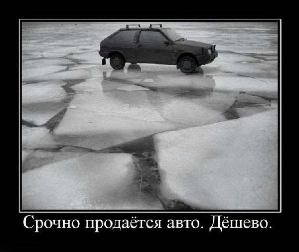 1297719870_foto_-16.jpg